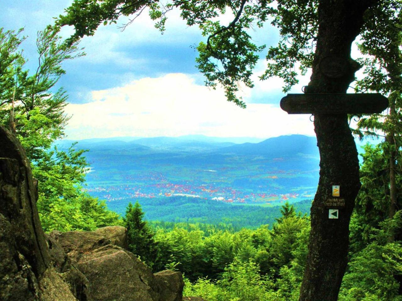 Ferienwohnungen Waldblick Waldmünchen Buitenkant foto